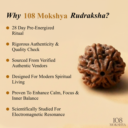 Mokshya Rudraksha Magnet Bracelet - Balance Your Energy, Enhance Your Vitality