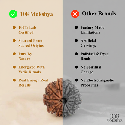 Mokshya Rudraksha Magnet Bracelet - Balance Your Energy, Enhance Your Vitality