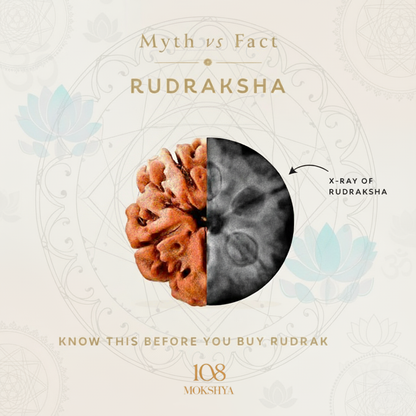 Mokshya Karungali Rudraksha Bracelet - Natural Ebony Wood & 5 Mukhi Rudraksha Beads