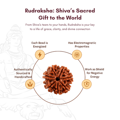 108 Rudraksha Mala |  Meditation & Breath-Work Tool | Shiva's Grace For Inner Awakening